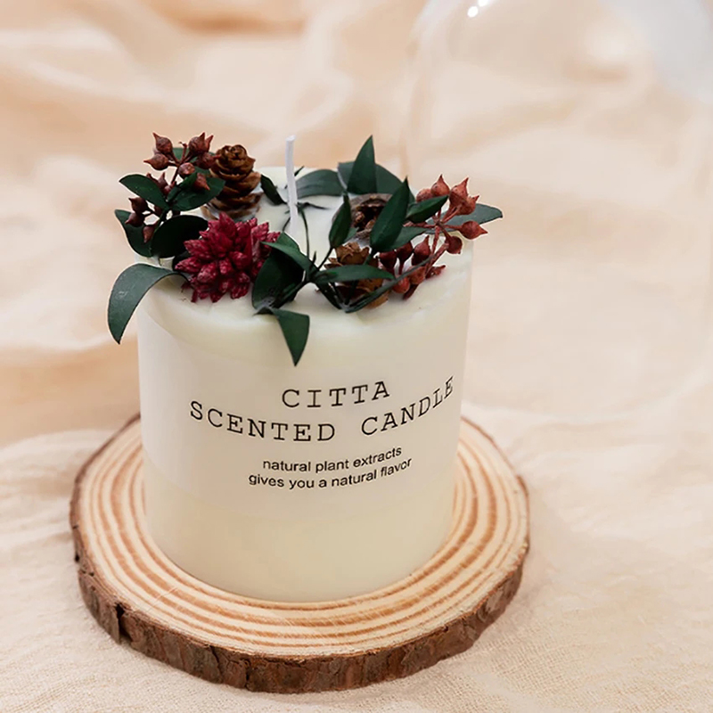 Forest Series Scented Soy Cand - Home Fragrance Wax Melts review and price