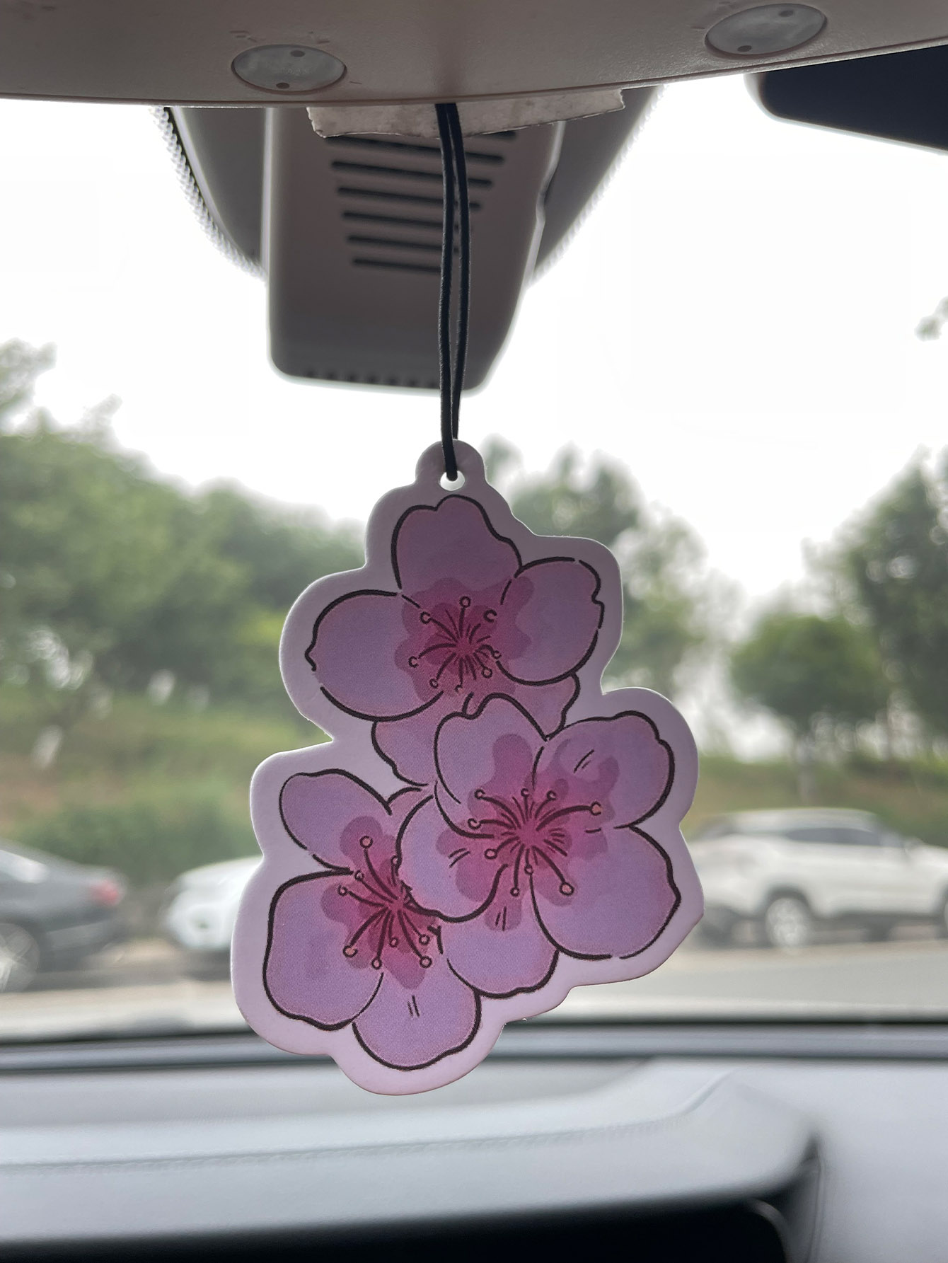 Sakura/Freesia Fresh Scent Fiv - Home Fragrance Non Toxic review and price